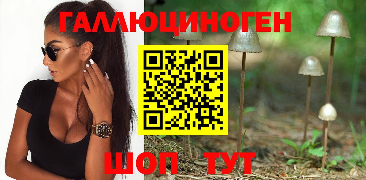 Галлюциногенные грибы Cubensis Юрга